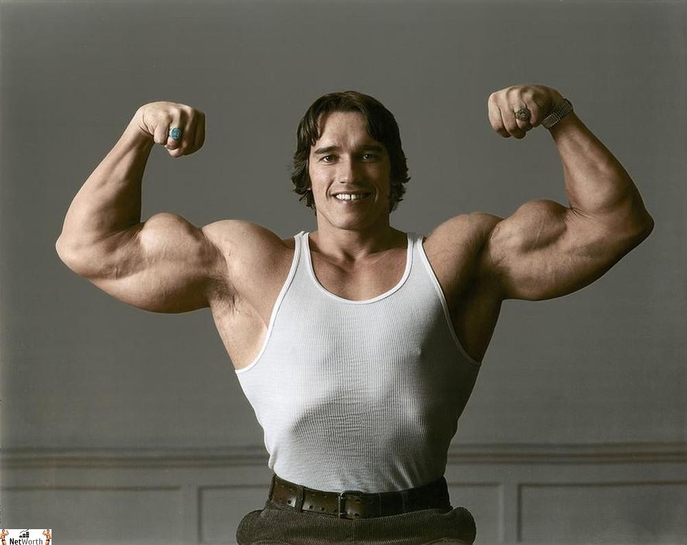 Arnold Schwarzenegger Biceps
