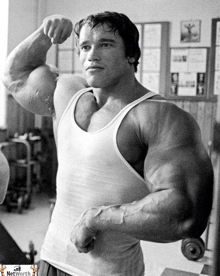 Arnold Schwarzenegger Biceps